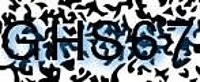 grafischer Sicherheitscode