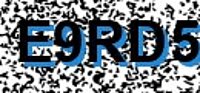 grafischer Sicherheitscode