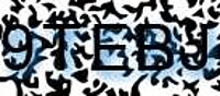 grafischer Sicherheitscode