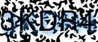 grafischer Sicherheitscode