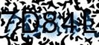 grafischer Sicherheitscode