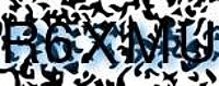 grafischer Sicherheitscode