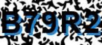 grafischer Sicherheitscode