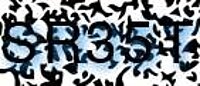 grafischer Sicherheitscode