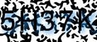grafischer Sicherheitscode