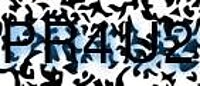 grafischer Sicherheitscode