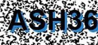 grafischer Sicherheitscode